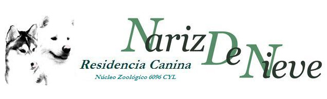 Logo especial5